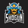 Shogun Martial Arts in Webster, NY