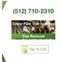 Tree Services Cedar Park in Cedar Park, TX
