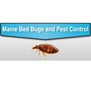 Maine Bed Bugs and Pest Control in Gray, ME