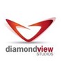 Diamond View Studios in Tampa, FL