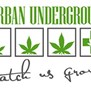 Herban Underground in Denver, CO