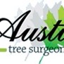 Austin Tree Surgeons in Austin, TX
