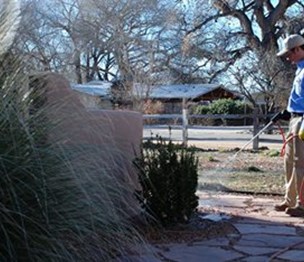 Pest Defense Solutions