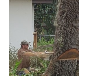 Griffin's Tree Care LLC