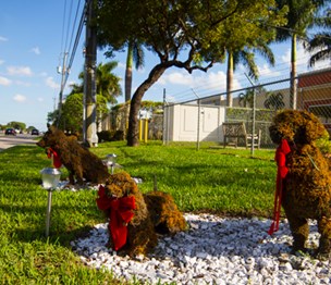 Doral Centre Animal Hospital