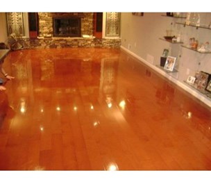 The Perfect Solution Dry Carpet Cleaning Inc.