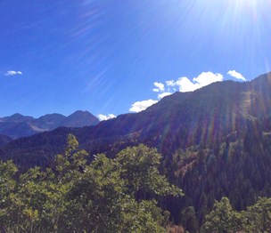 Alpine Recovery Lodge