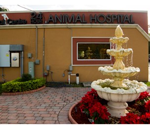 Doral Centre Animal Hospital