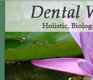 Dental Wellness Centers