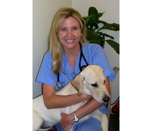 El Paso Animal Emergency & Veterinary Specialty