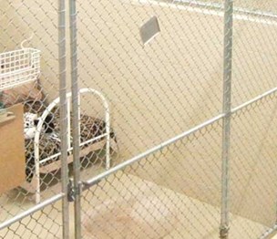Royalton Kennels