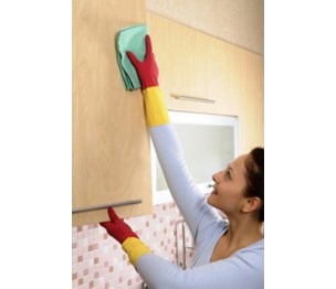 Cleaning Dunwoody