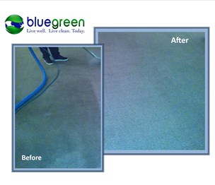 Bluegreen Carpet & Tile Cleaning