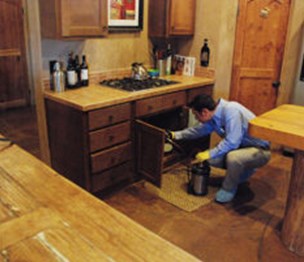 Pest Defense Solutions