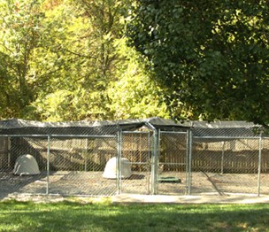 Royalton Kennels