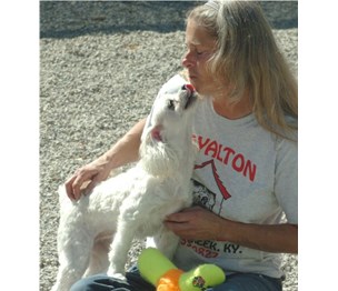 Royalton Kennels