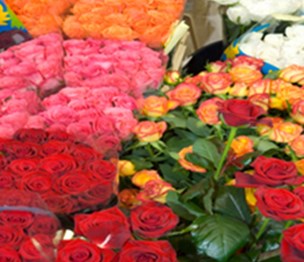 Anna's Wholesale Flowers & Gift