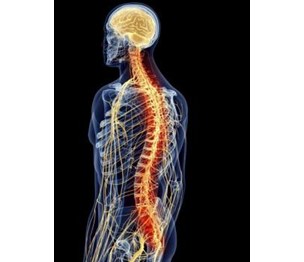 Graham Rehabilitation and Wellness