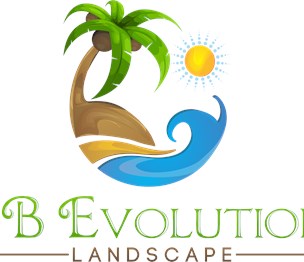 SBevolution Landscape