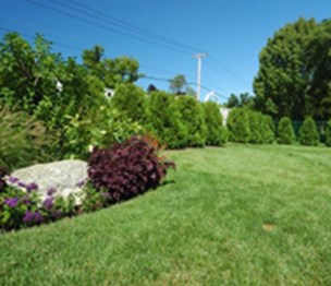 Peters Professional Landscaping