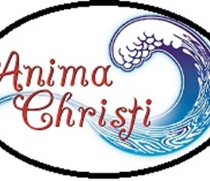 Anima Christi Cleaning Services
