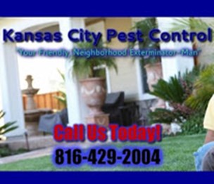 Kansas City Pest Control