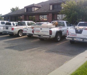 Patton Termite & Pest Control