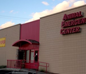 El Paso Animal Emergency & Veterinary Specialty