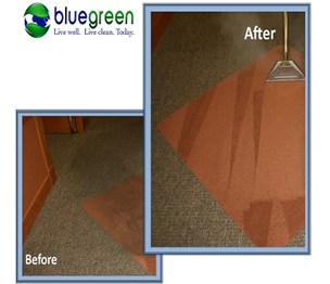 Bluegreen Carpet & Tile Cleaning