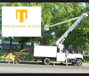 Tree Removal McLean