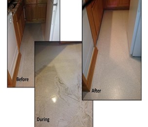 Bluegreen Carpet & Tile Cleaning