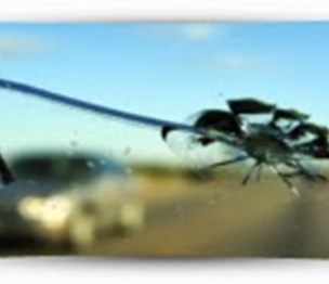 Douglas Auto Body & Paint