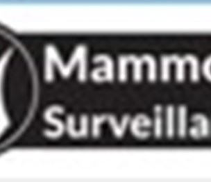 Mammoth Surveillance Camera Systems