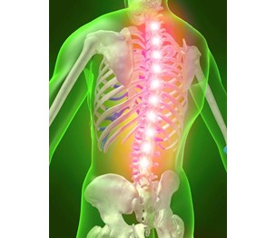 Pirollo Chiropractic