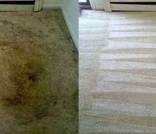 City Scrubbers Carpet Cleaning