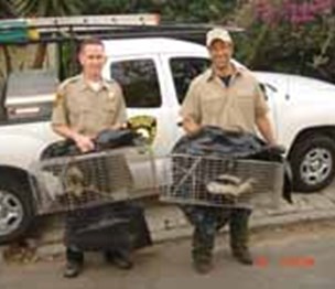 Animal Capture Wildlife Control