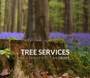 Bruder Tree & Landscape Services
