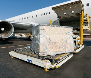 Reliant Cargo Services, Inc.