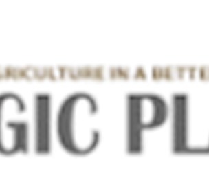 Magic Plant Farms