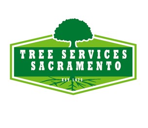 Tree Services Sacramento