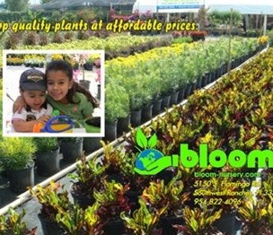 Bloom Nursery