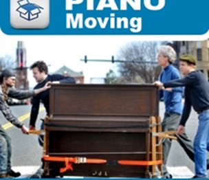 The Miami Movers