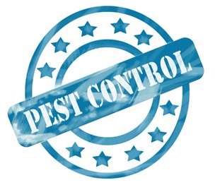 Superior Termite Control