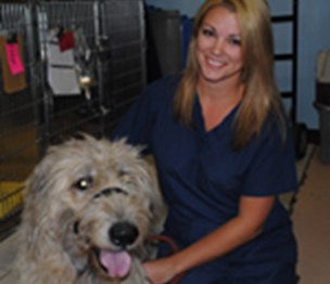 DPC Veterinary Hospital