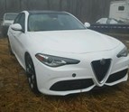 ALFA.JPG