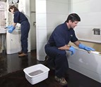 Apartment_Cleaning.jpg