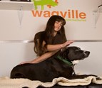 Best_Massage_Dog_Daycare_in_Los_Angeles_CA_WagVille.jpg