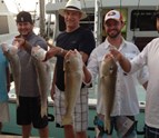 CharterBoats.jpg