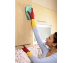 CleaningServices199x300.jpg