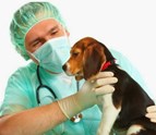 DPC_Veterinary_Hospital.jpg
